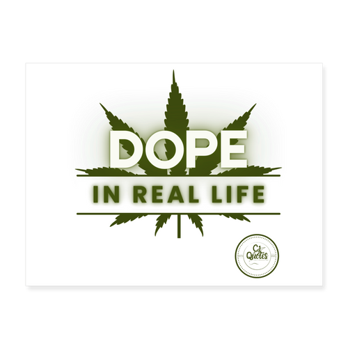 Dope In Real Life Poster 24x18 - white